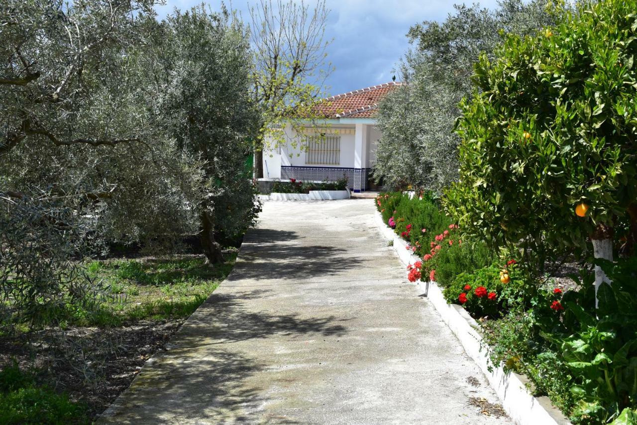 Casa Rural Alejo Malaga Zewnętrze zdjęcie